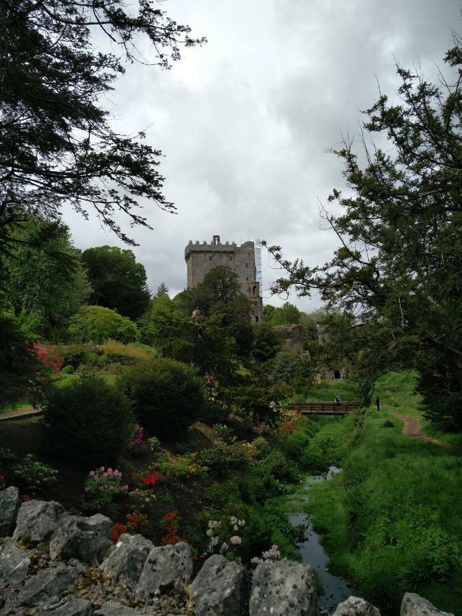 Foxhollow House ブラーニー エクステリア 写真
